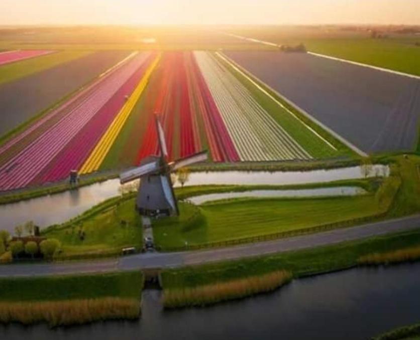 Boathouse At Unescco Fort And Magnificent Lake-View Roelofarendsveen Exterior photo